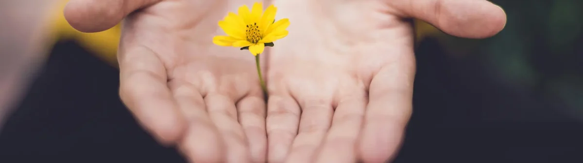 Zoom nas mãos de uma pessoa segurando uma flor amarela.